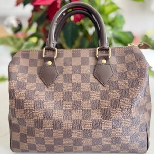 LOUIS VUITTON Speedy 25 in Damier Ebene